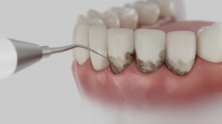 Reliable Dental contractor in Wadsworth, IL by Dentist Open Now